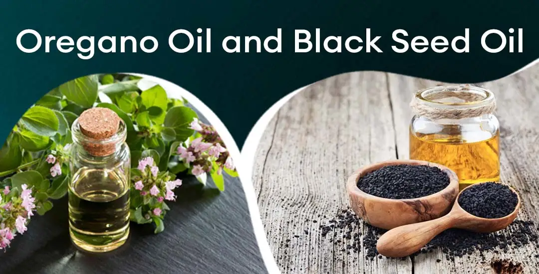 Oregano Oil vs Black Seed Oil: Which One Is Better for Your Health?